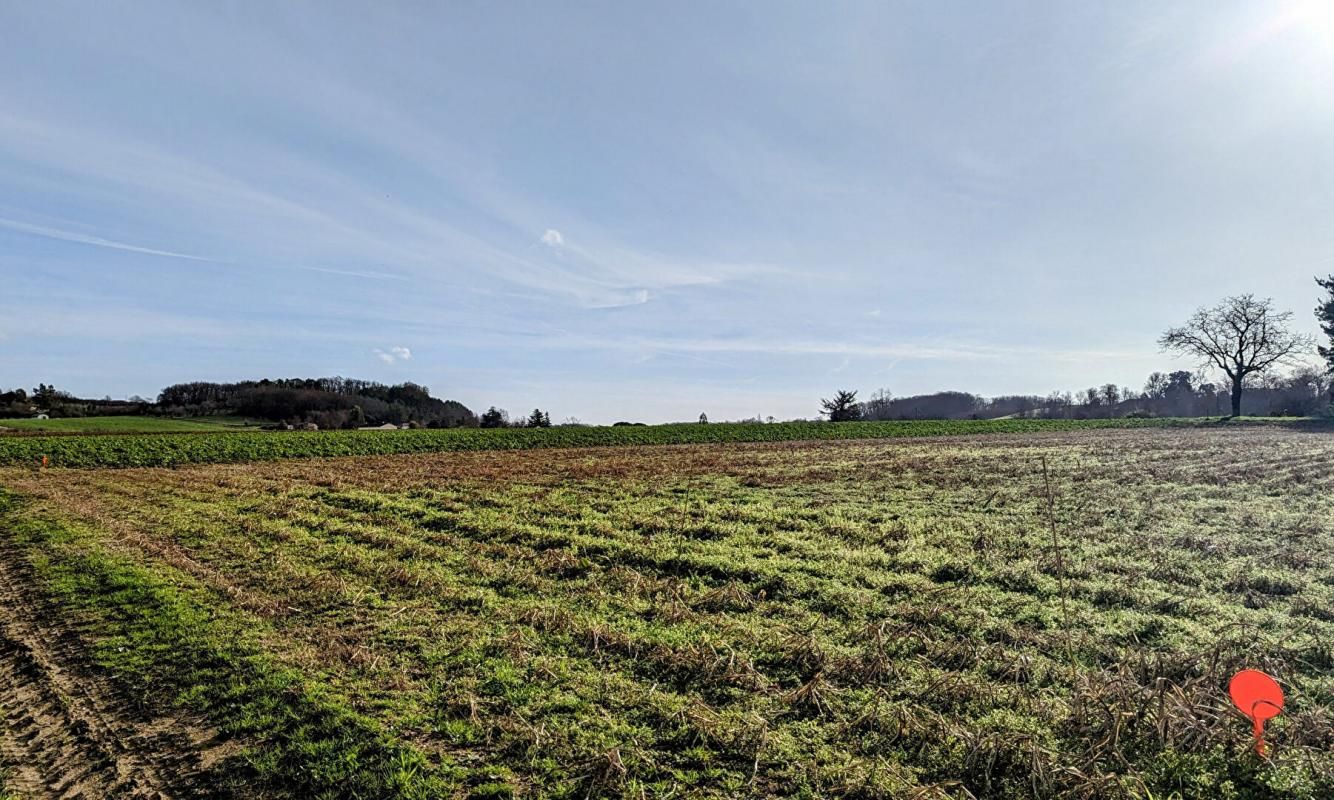SAINT-GEORGES Vente Terrain constructible avec parcelle de terre irrigable de plus de 2,6 hectares 2
