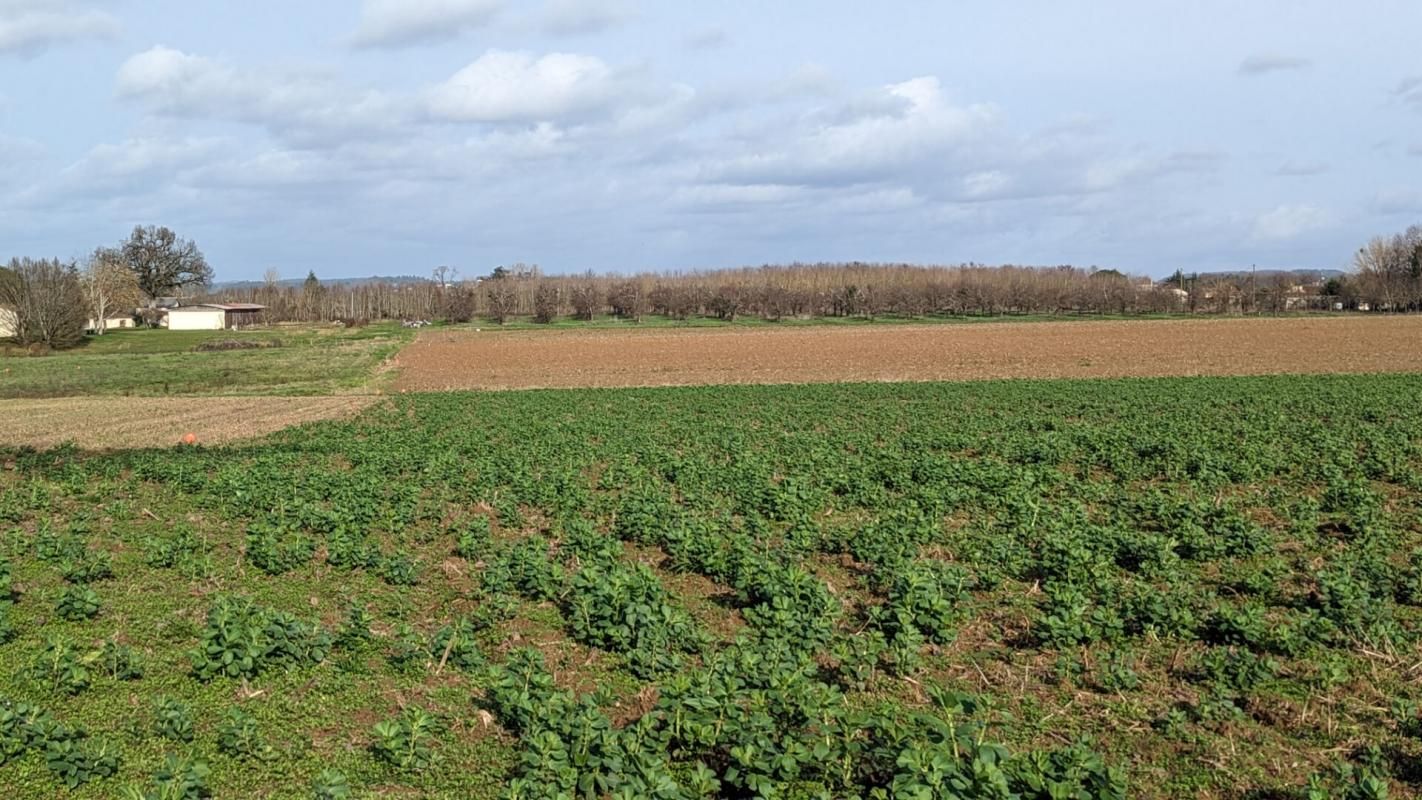 SAINT-GEORGES Vente Terrain constructible avec parcelle de terre irrigable de plus de 2,6 hectares 3