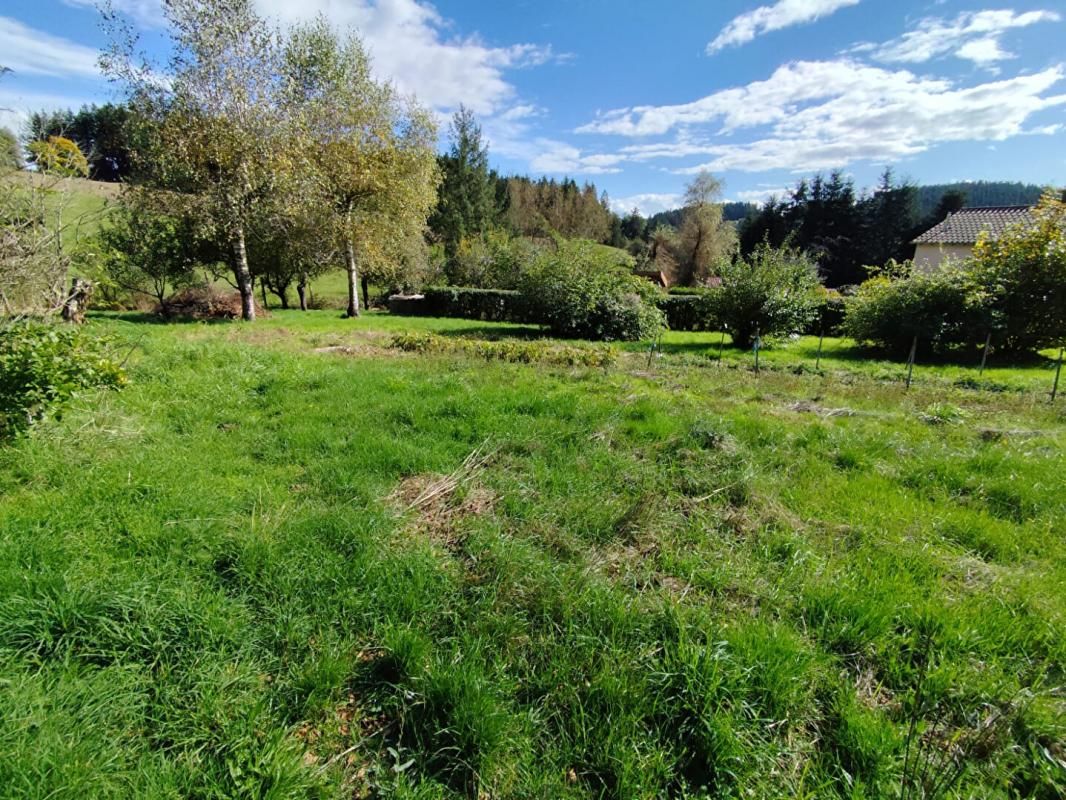La Séauve sur Semène 43140 Parcelle de terrain  1900m² dont 800m² constructible et 1073m² agricole