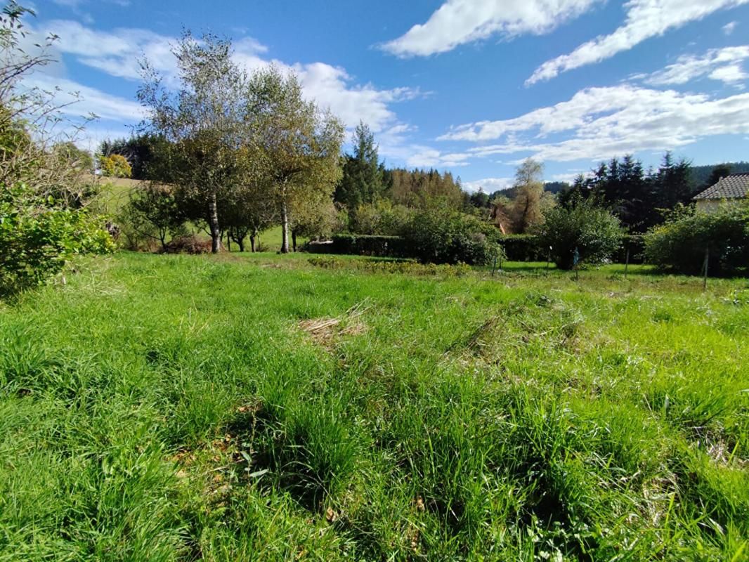 LA SEAUVE-SUR-SEMENE La Séauve sur Semène 43140 Parcelle de terrain  1900m² dont 800m² constructible et 1073m² agricole 4
