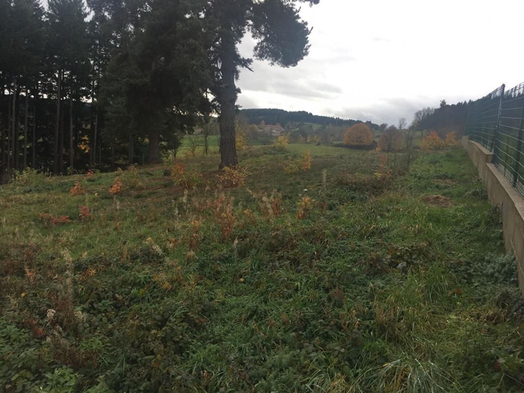DUNIERES Dunières 43220 terrain constructible viabilisé environ 1218 m², très bonne exposition et vue dégagée 3