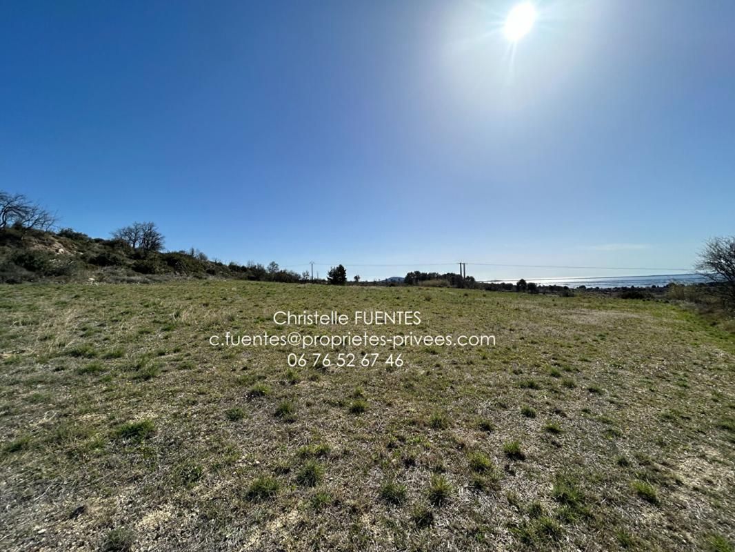 TERRAIN AGRICOLE - 4900M2 - VUE ETANG DE THAU