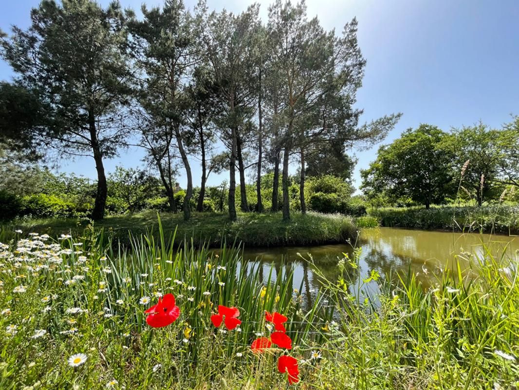 Terrain constructible avec étang à viabiliser, Saint Hilaire De Clisson 2051 m2