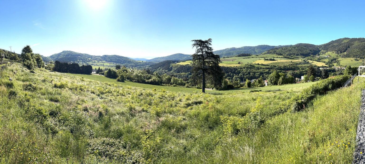 BOURG-ARGENTAL BOURG ARGENTAL 42220 TERRAIN à BATIR 972 m² viabilisé 3