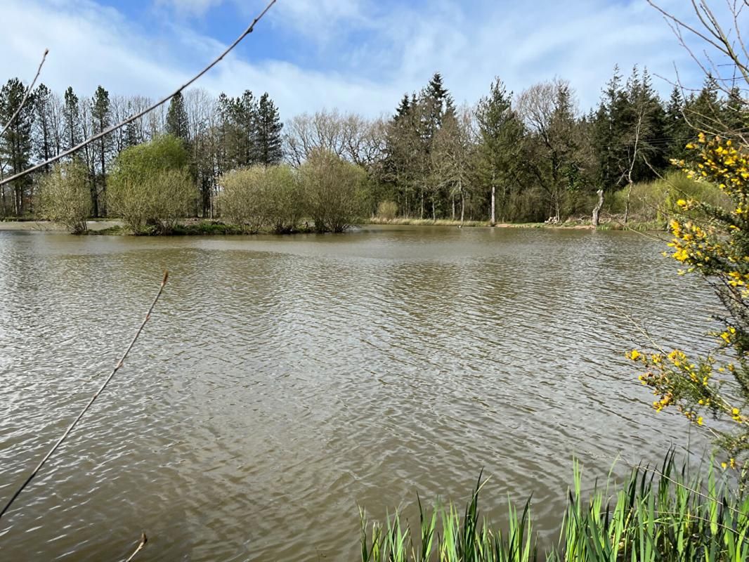 GOVEN Terrain de loisirs avec Etang  Goven 2