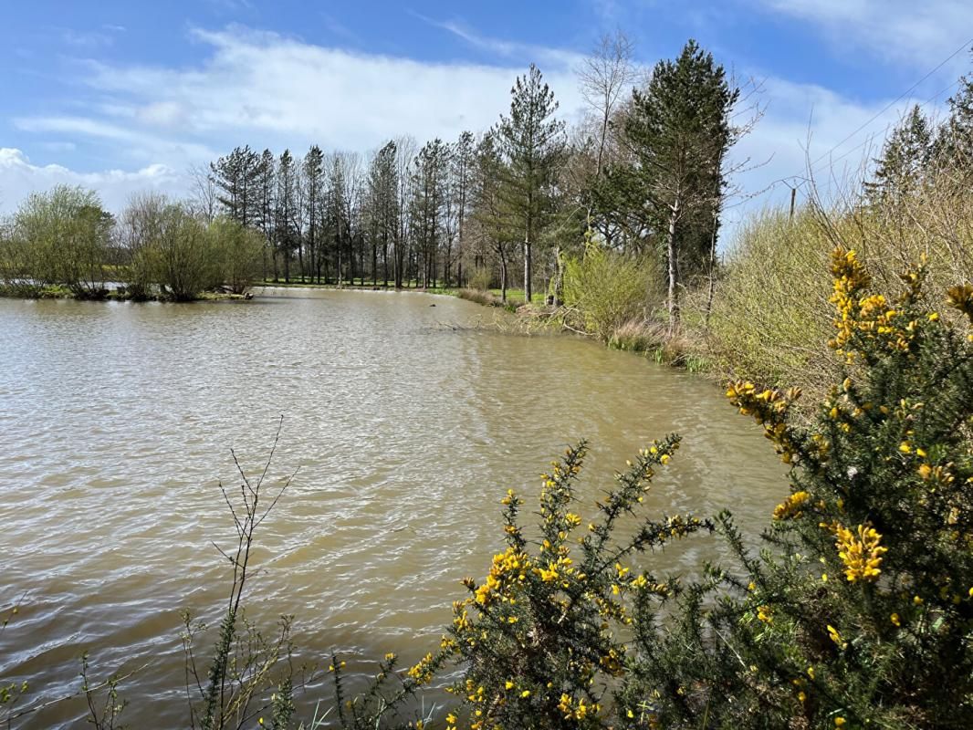 GOVEN Terrain de loisirs avec Etang  Goven 3