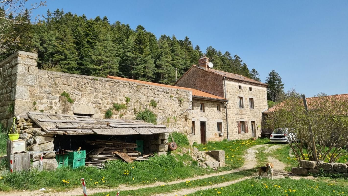 SAINT-REGIS-DU-COIN Saint Régis du Coin 42660 en pleine nature ancienne ferme à rénover sur 1200m² de terrain 4