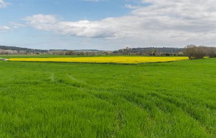 29520 Châteauneuf du Faou 2 hectares 600  de terre agricole