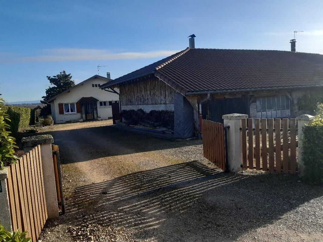 Maison Jayat  95 m2 et dépendance  longère  bressane sur terrain 3500 m2