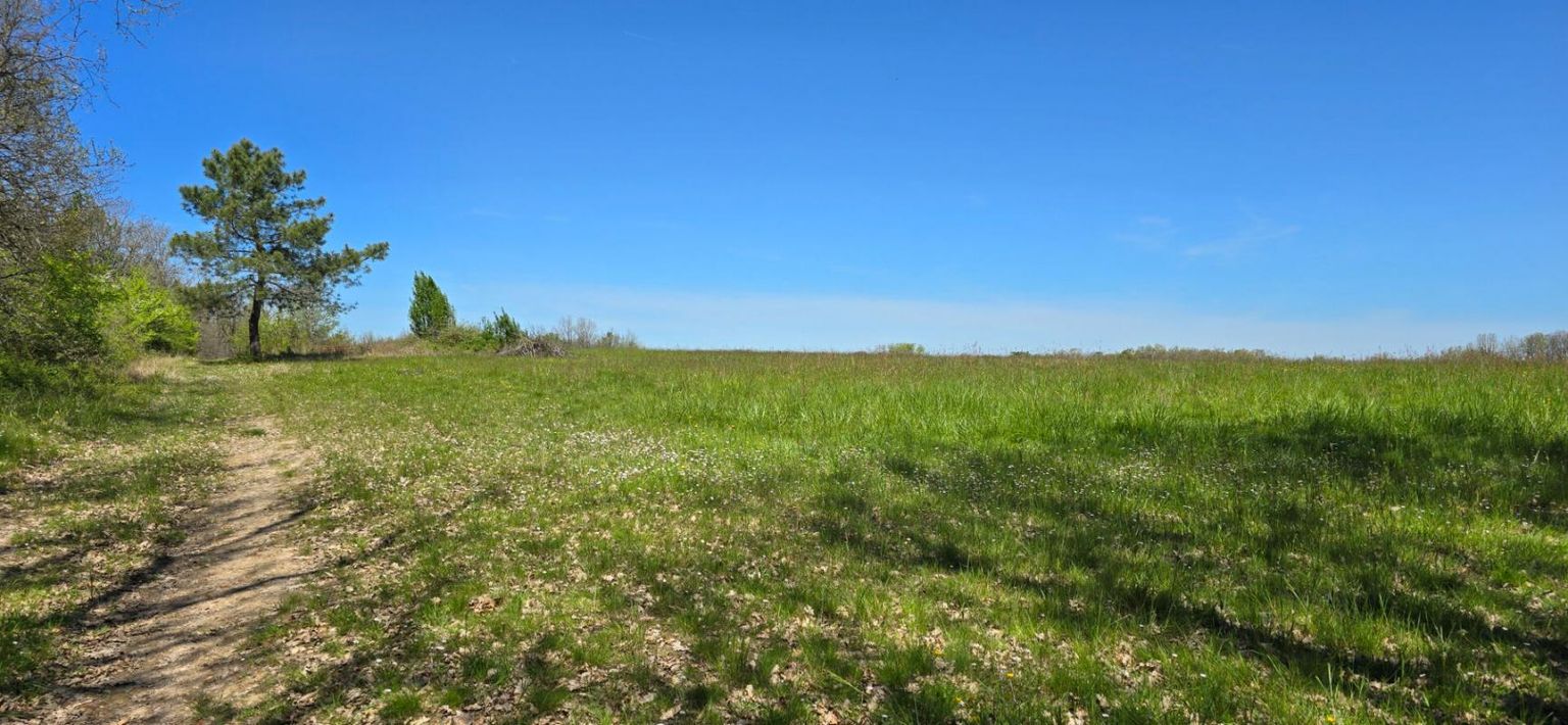 Terrain agricole