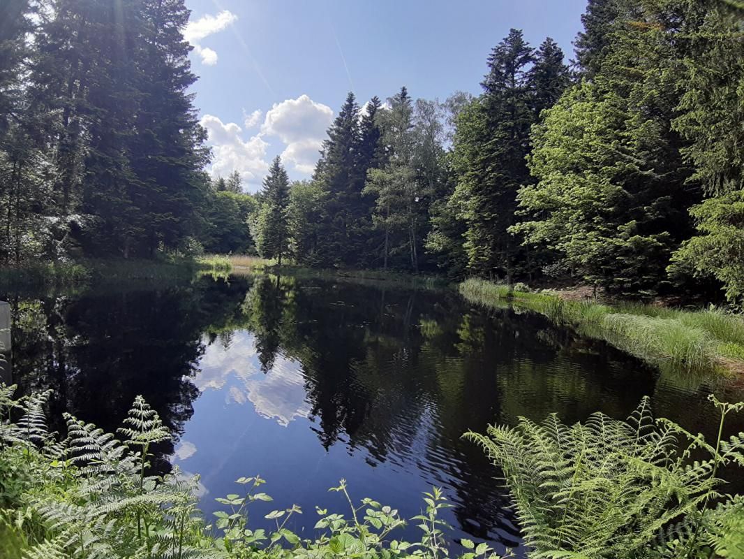 Etang  9268 m2 plateau des mille étangs