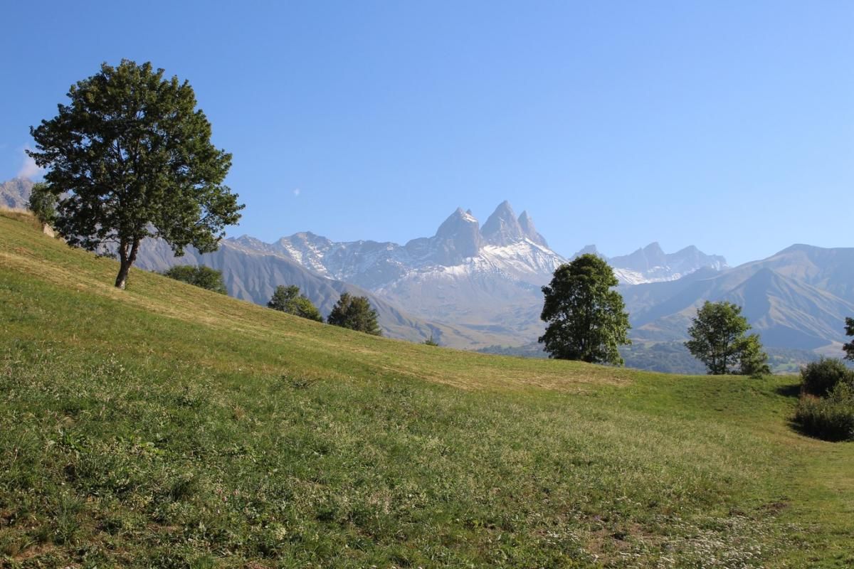 Appartement Albiez Montrond  avec garage et cave