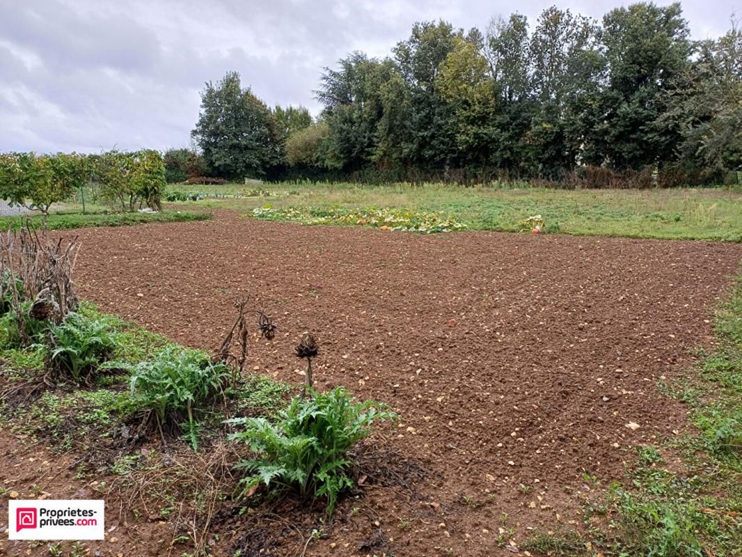 VILLIERS-EN-PLAINE VILLIERS EN PLAINE - Terrain 2