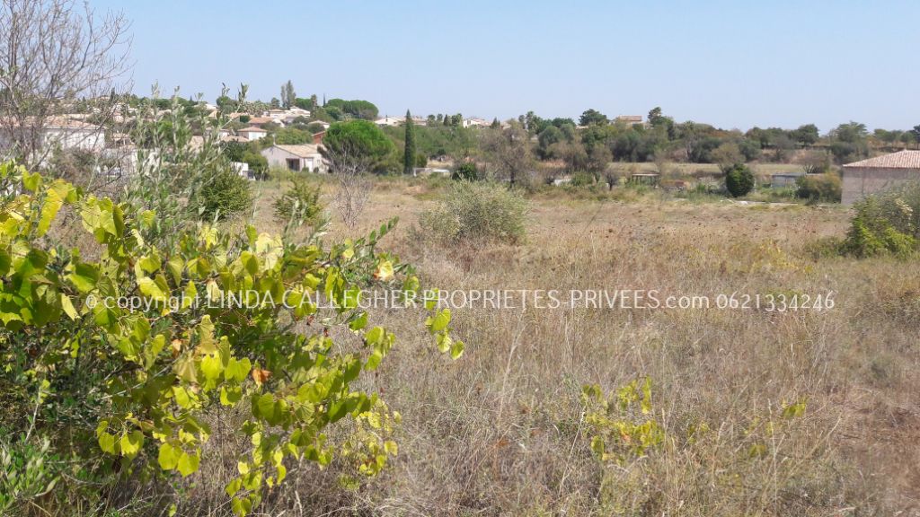 Terrain de LOISIRS  proche 34120 Pezenas 10440 m2