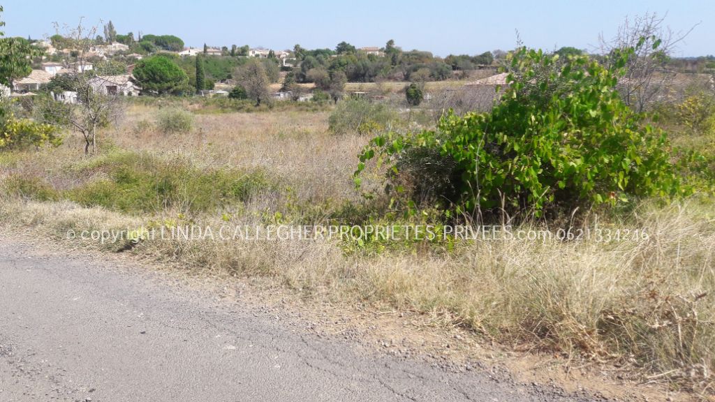 NEZIGNAN-L'EVEQUE Terrain AGRICOLE proche 34120 Pezenas 10440 m2 2