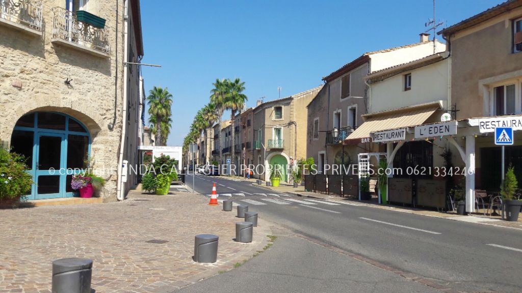 NEZIGNAN-L'EVEQUE Terrain AGRICOLE proche 34120 Pezenas 10440 m2 3