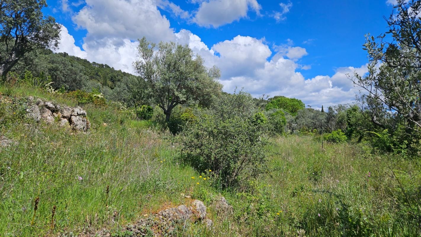 Terrain constructible à fort potentiel