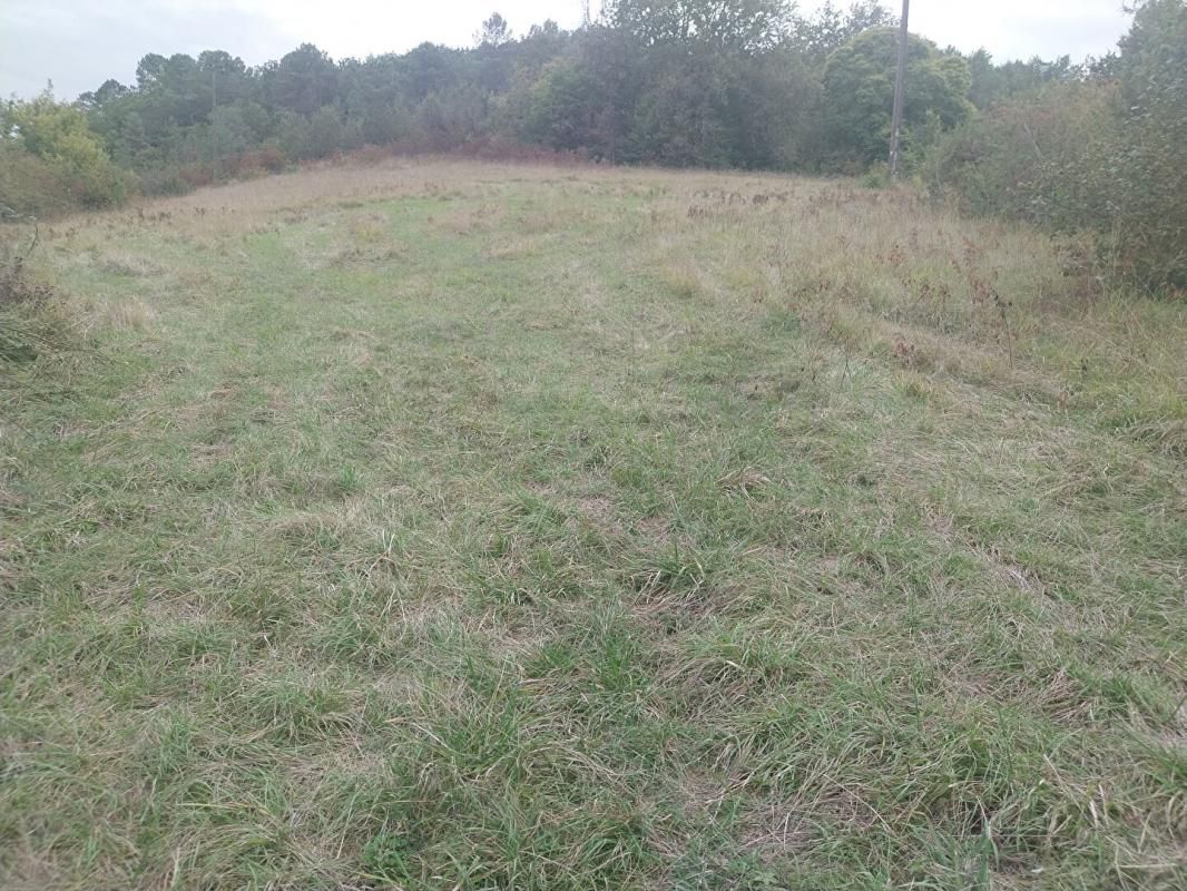 SAINT-PAUL-DE-SERRE HORS LOTISSEMENT TERRAIN 3.350 M2 3