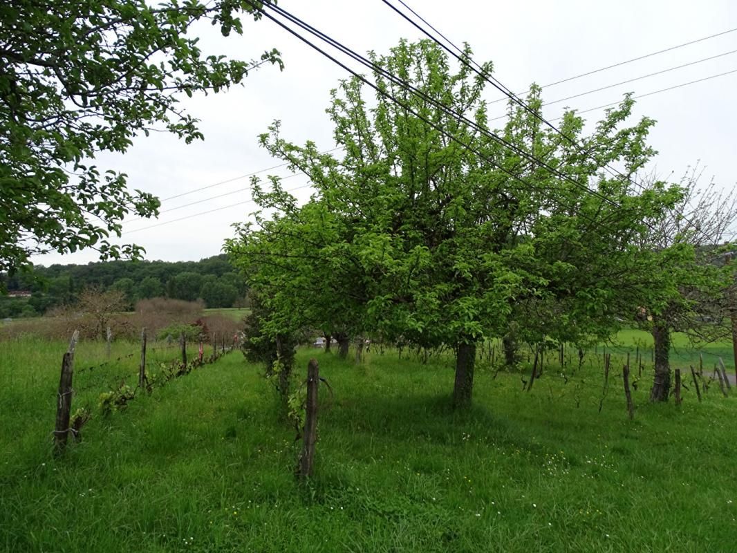 AUBAS Terrain Aubas 10164 m2 2