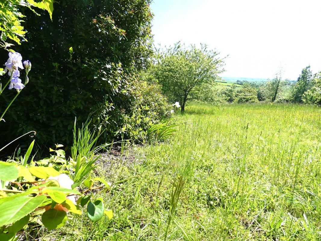 PUYLAROQUE Terrain arboré, non constructible, pour loisir avec cabanon - Puylaroque 2170 m2 2