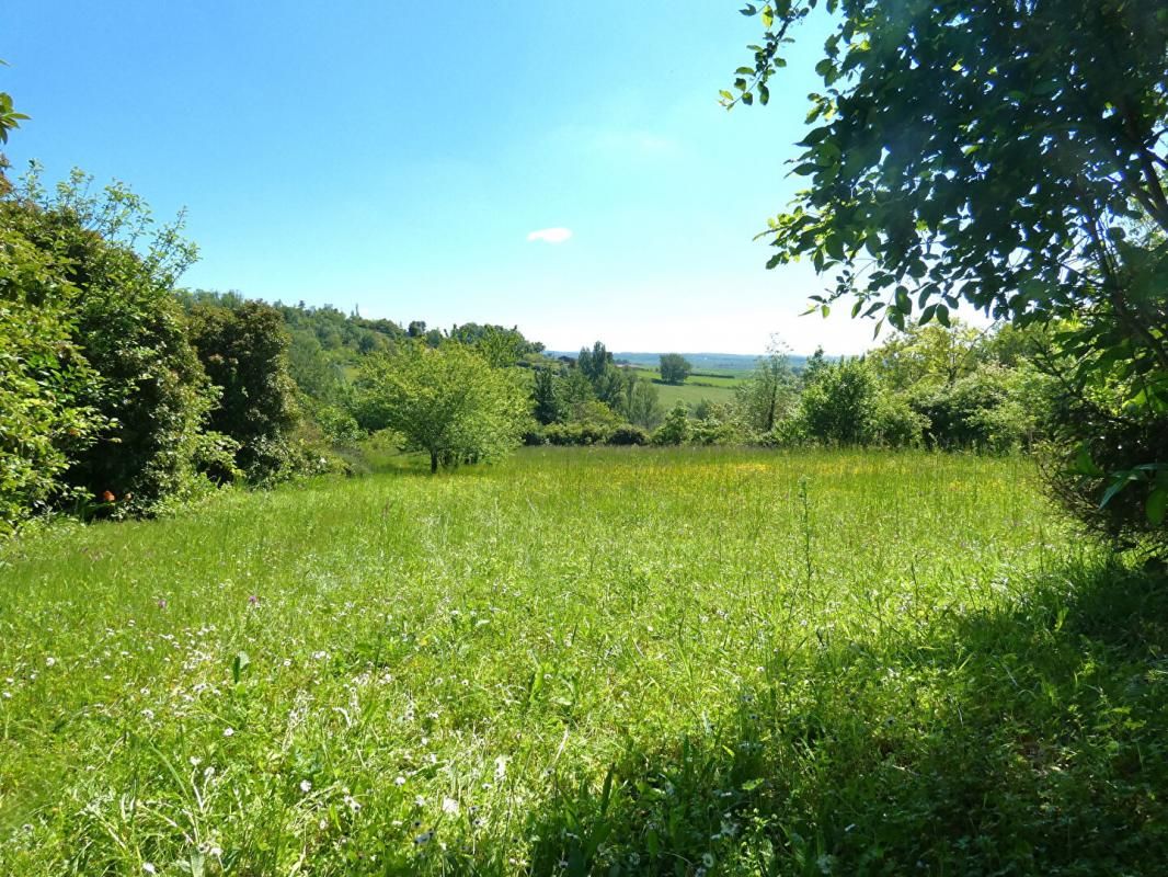 PUYLAROQUE Terrain arboré, non constructible, pour loisir avec cabanon - Puylaroque 2170 m2 4