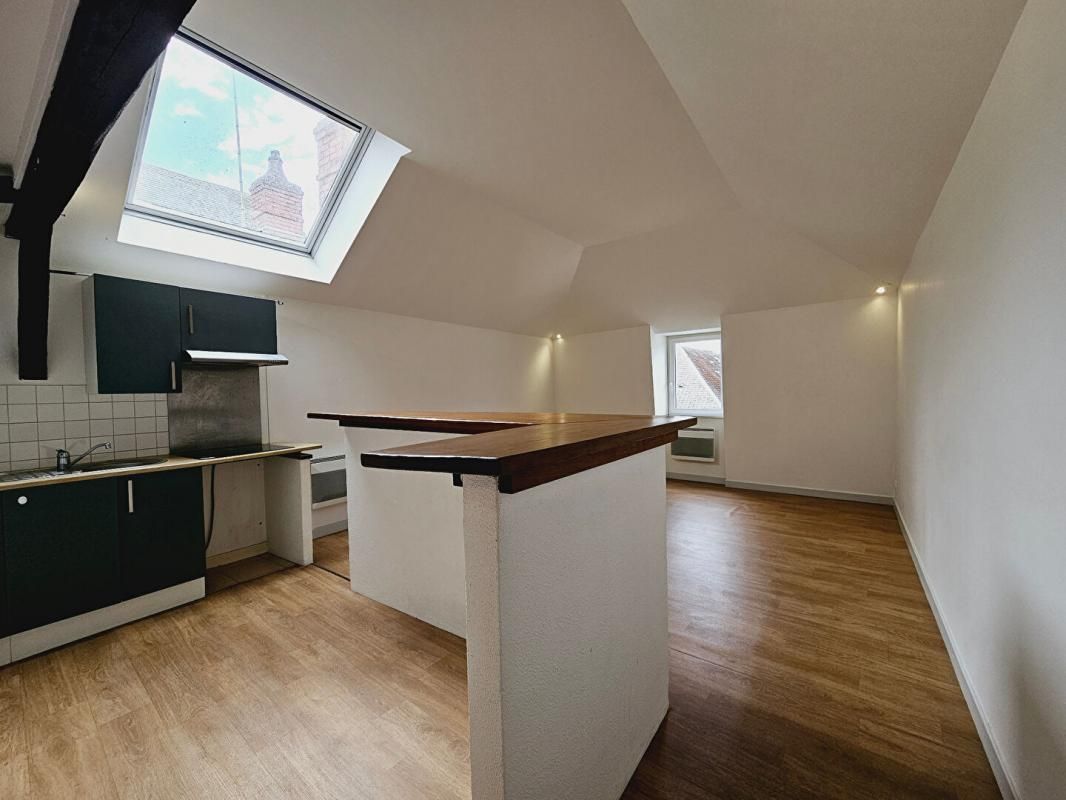 BOURGES CENTRE APPARTEMENT 49M² 2 PIECES