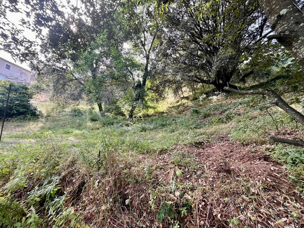 ECCICA-SUARELLA VENTE TERRAIN CONSTRUCTIBLE 1772 m² ECCICA SUARELLA (20117) 2