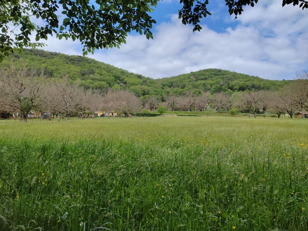 Projet de 2 maisons contemporaines sur terrain de 7.050m2