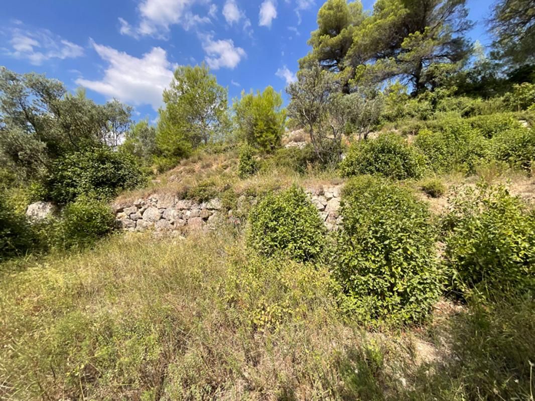 CLAVIERS TERRAIN EXCEPTIONNEL 3015m²  VUE PANORAMIQUE 2