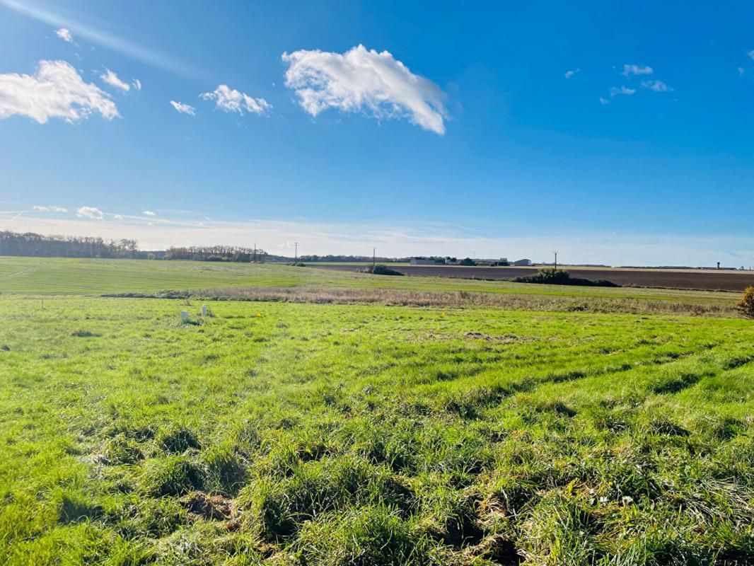Terrain viabilisé sur secteur recherché 1084 m2 Saulnières