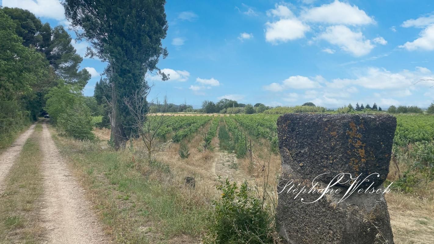 Exclusivité à saisir ,  Domaine Viticole d'Exception de 25 hectares à Vendre sur la Commune de Capestang, 190 m2 habitables 10 pcs, 1500 m2  de corps de bâtiment avec cave vinaire