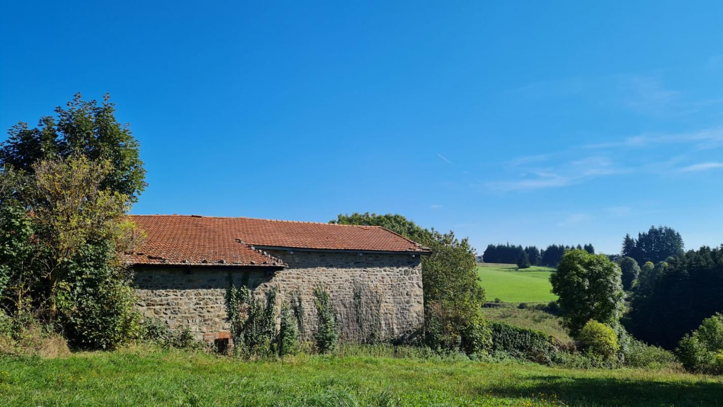SAINT-ROMAIN-LES-ATHEUX EXCLUSIVITE Saint Romain les Atheux 42660 maison type corps de ferme en L à rénover entièrement sur 1280m² de terrain plat 4