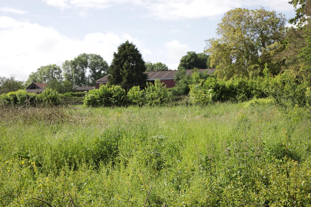 BERNEUIL-EN-BRAY Terrain Berneuil En Bray 1113 m2 2