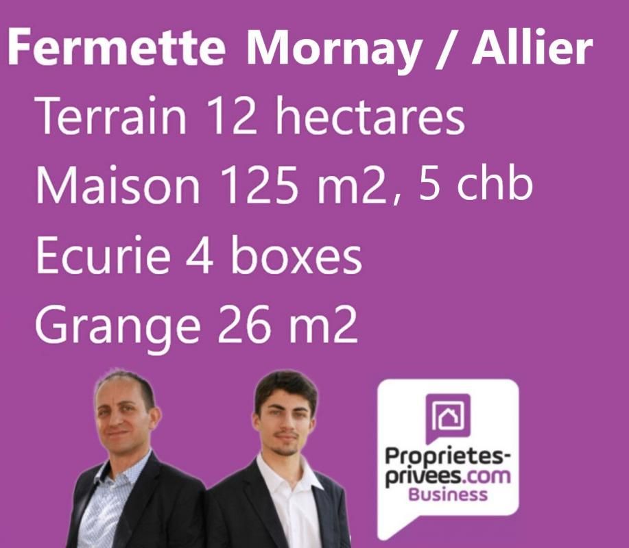 MORNAY-SUR-ALLIER - MAISON ISOLEE 120 M2, 5 CHAMBRES, 12 HA