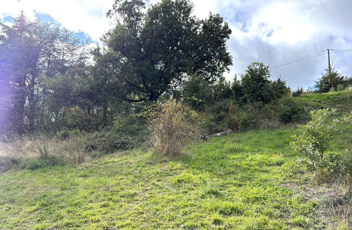BOURG-ARGENTAL Bourg Argental 42220 parcelle de terrain constructible de 1011m² 2