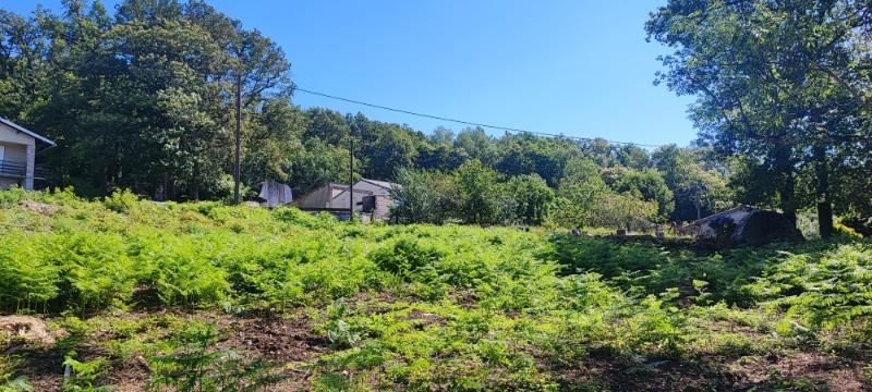 SAINT-SALVY-DE-LA-BALME Terrain Constructible Saint Salvy De La Balme 1121 m2 3