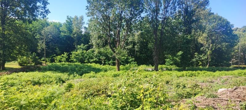 SAINT-SALVY-DE-LA-BALME Terrain Constructible SAINT SALVY DE LA BALME DE 2268 m2 3