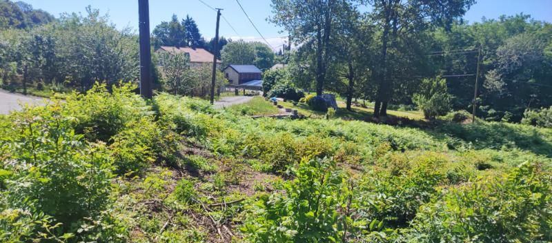SAINT-SALVY-DE-LA-BALME Terrain Constructible SAINT SALVY DE LA BALME DE 2268 m2 4