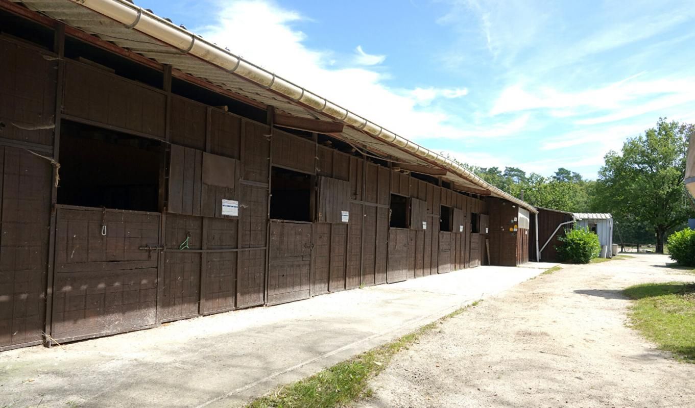 LIGNY-LE-RIBAULT Centre équestre et habitation en Sologne, aux portes d'Orléans 2