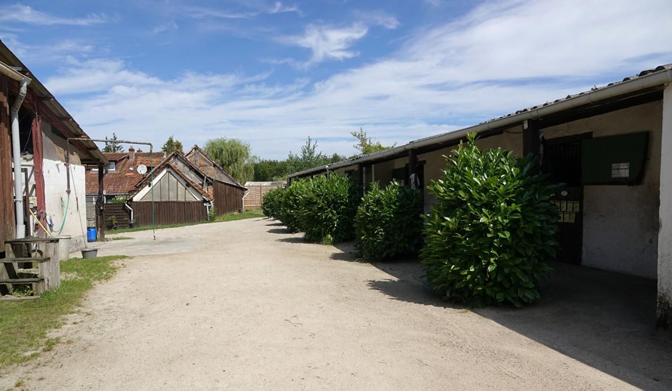 LIGNY-LE-RIBAULT Centre équestre et habitation en Sologne, aux portes d'Orléans 3