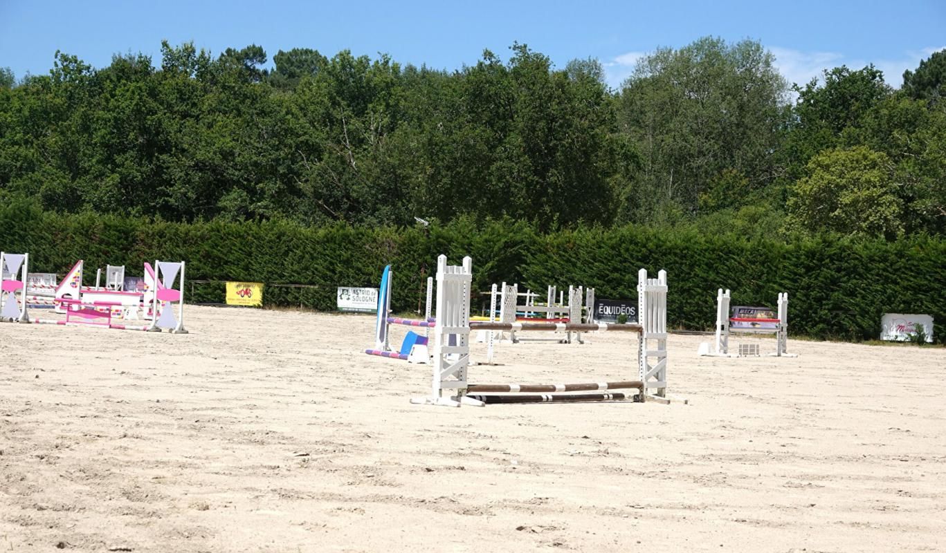 LIGNY-LE-RIBAULT Centre équestre et habitation en Sologne, aux portes d'Orléans 4