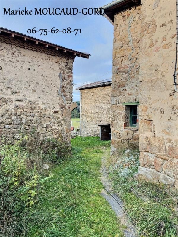 USSON-EN-FOREZ Ferme en pierre entièrement à rénover à 1 km du centre sur 1 hectare de terrain 3