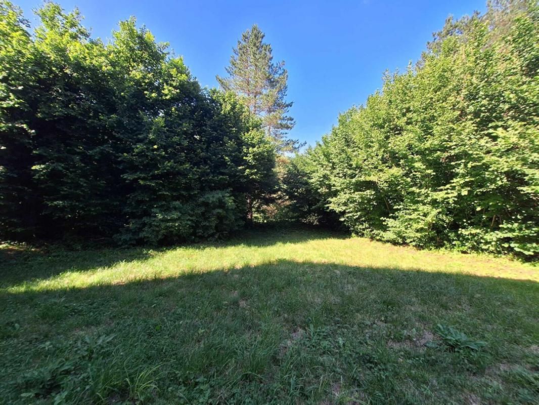 MAZAMET Maison rénovée montagne noire très proche Lac de Laprade avec jardin et garage 4