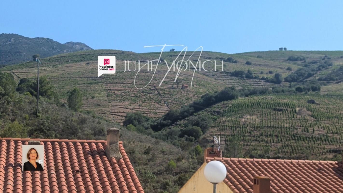 BANYULS-SUR-MER Vue sur les montagnes, terrasses, garage 4