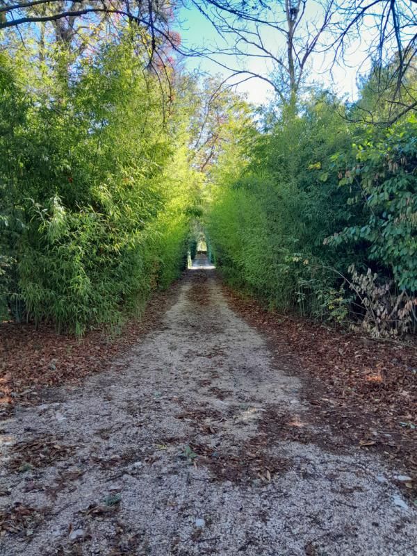 Luberon - Demeure avec parc et dépendances à réhabiliter