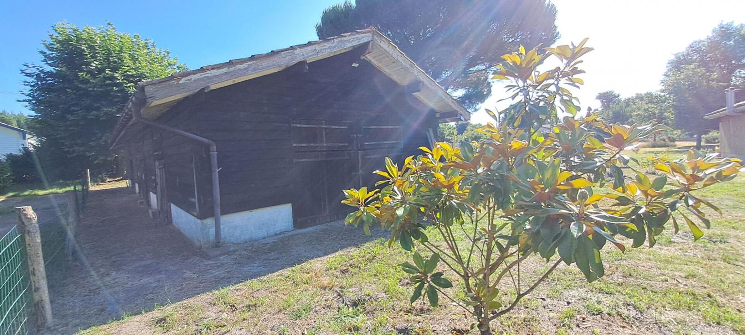 CASTETS ENTRE CASTETS ET CONTIS SUR LA COMMUNE DE ONESSE ET LAHARIE 4
