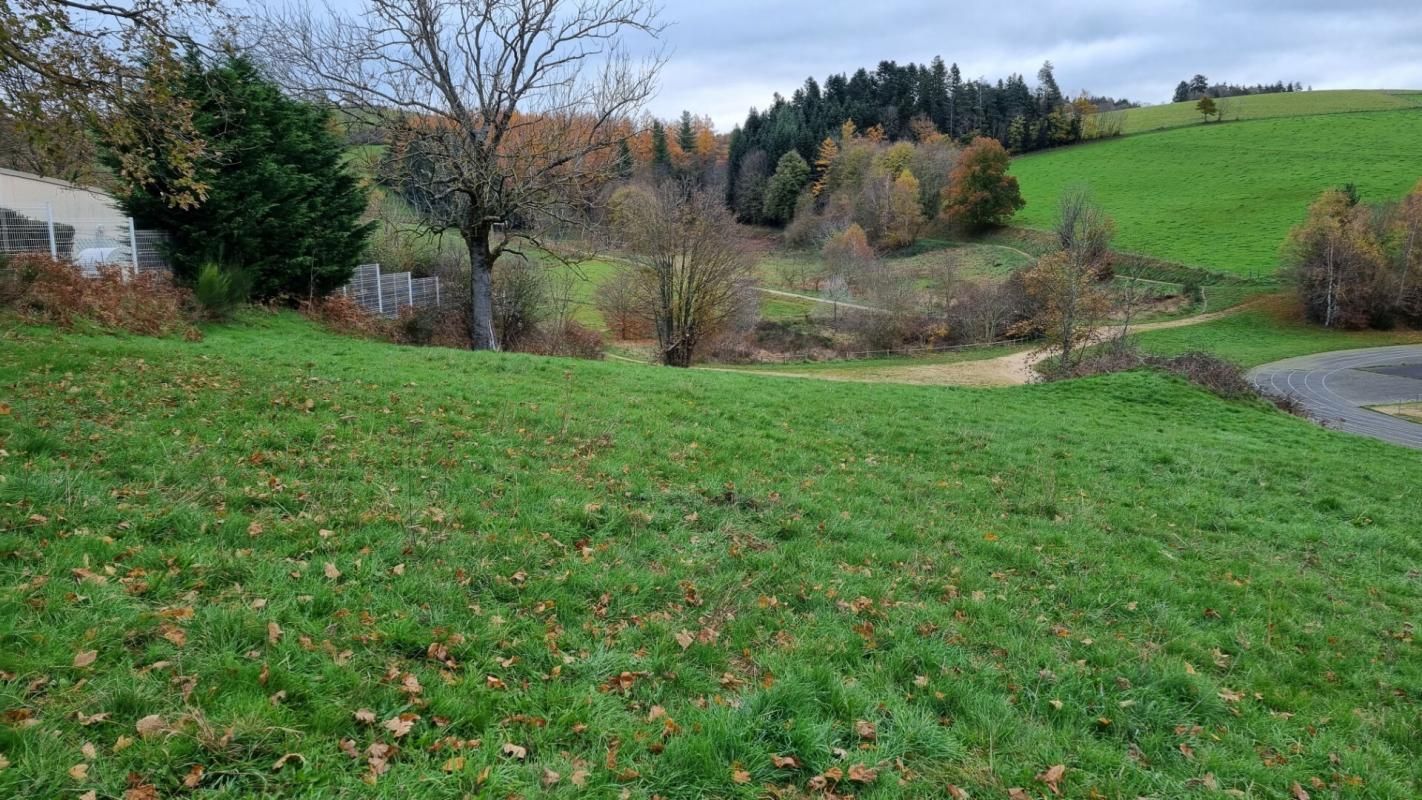 Saint Didier en Velay 43140 parcelle de terrain 2800m² constructible et 4500m² non constructible