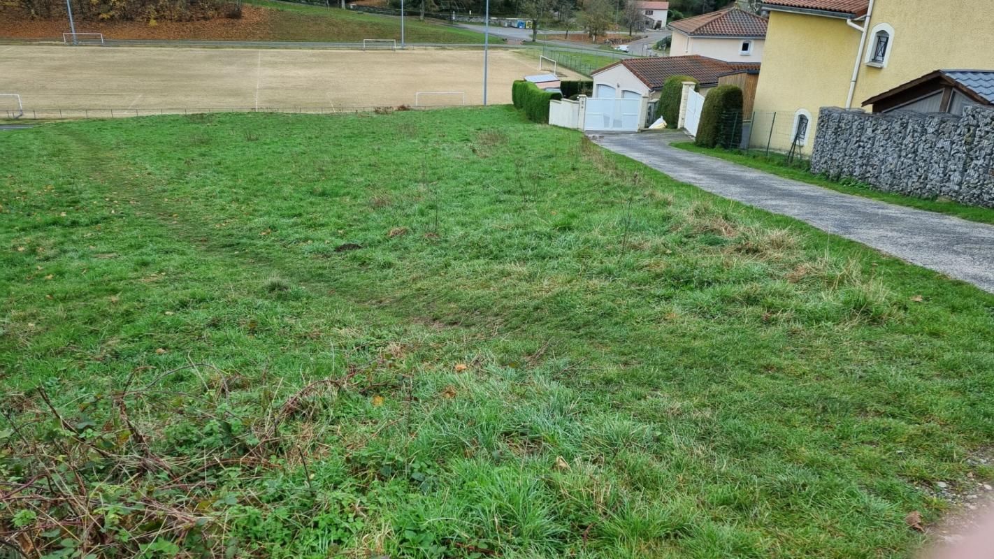 SAINT-DIDIER-EN-VELAY Saint Didier en Velay 43140 parcelle de terrain 2800m² constructible et 4500m² non constructible 2