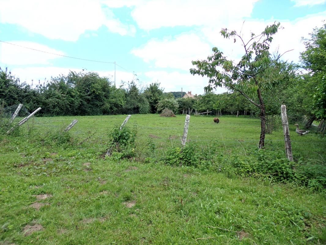 Terrain constructible