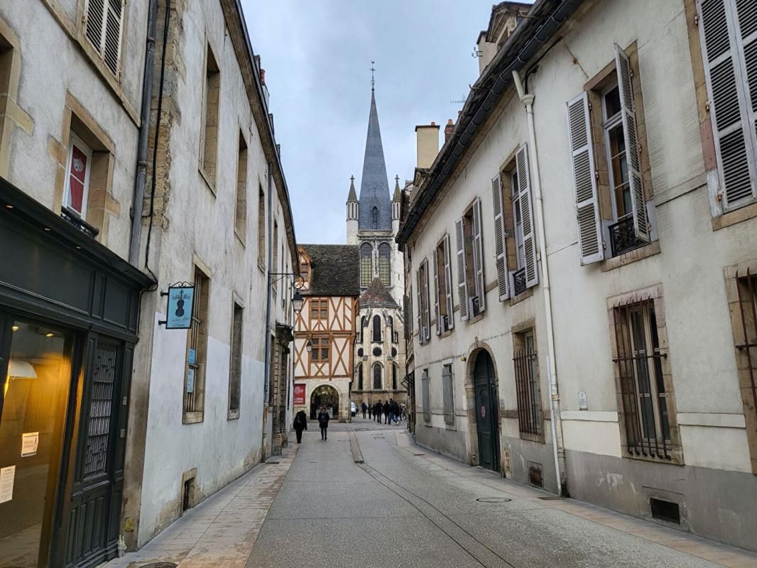 Dijon T5